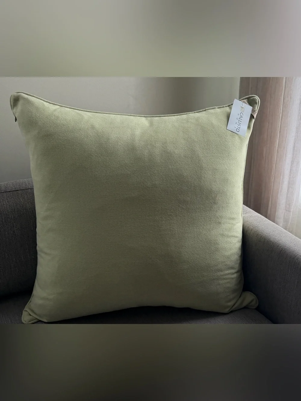 Callisto Home Sage Green Velvet Square Pillow